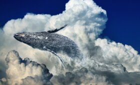 jQueryでスクロールするとふわっと表示